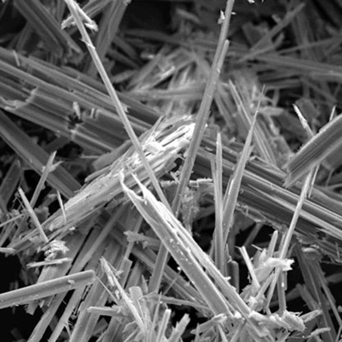 Asbestos fibres